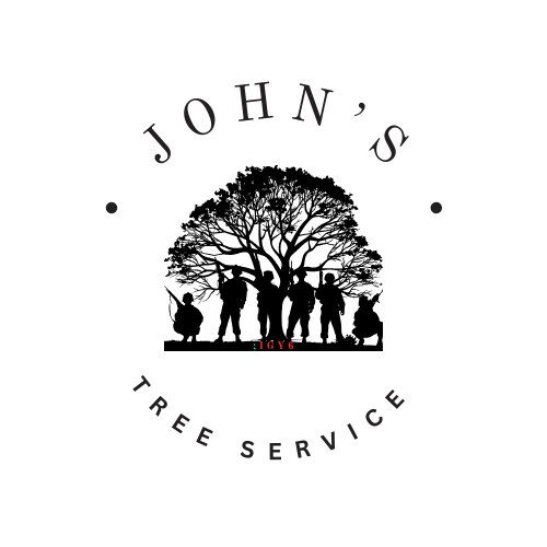 Home About Services Contact Us